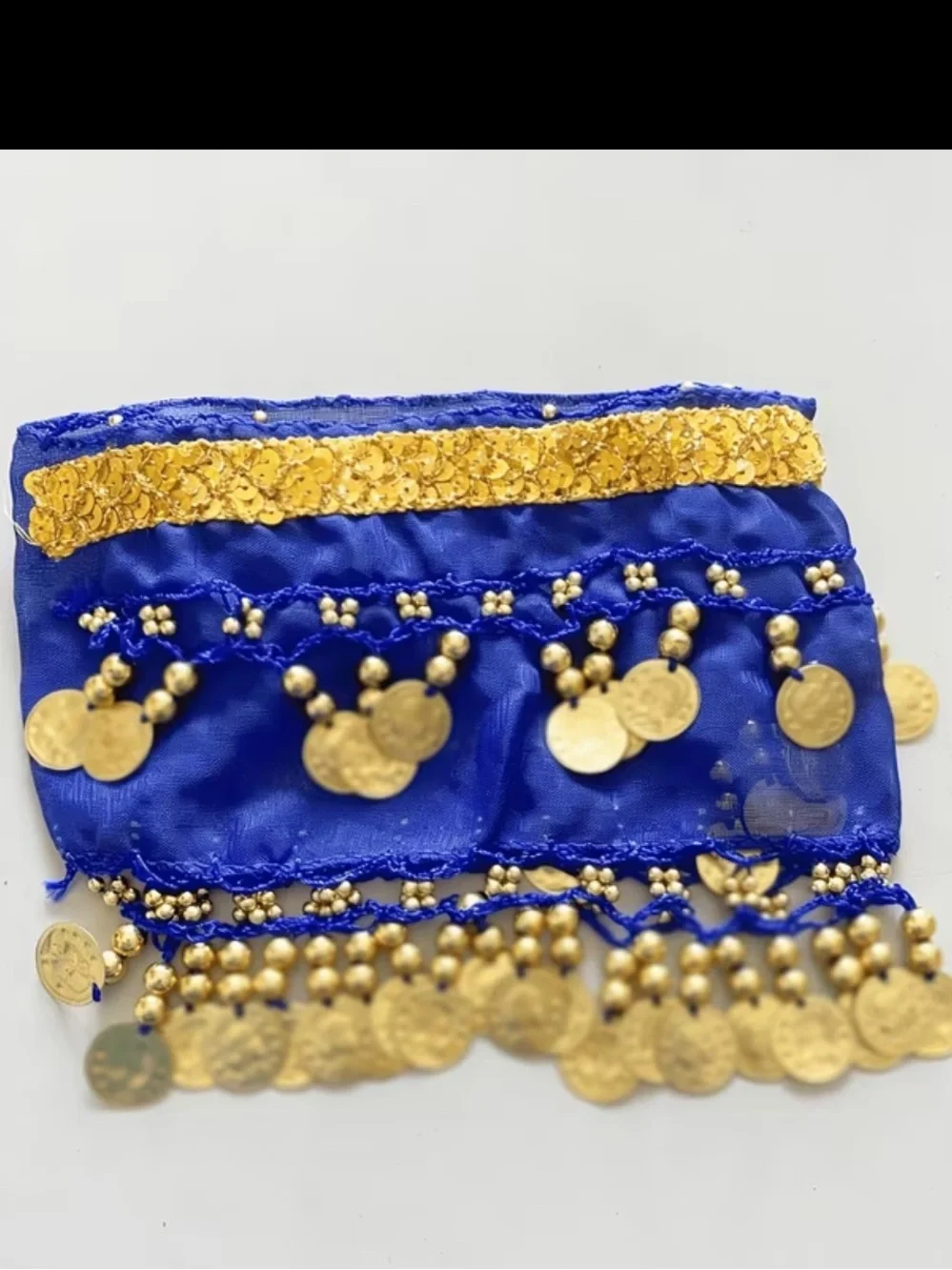Blue Pet Belly Dance Coin Hip Scarf Costume Wrap